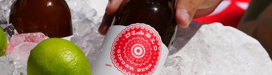 Sentry Water Filters Blog Image of Diablo Co Superior Ginger Beer