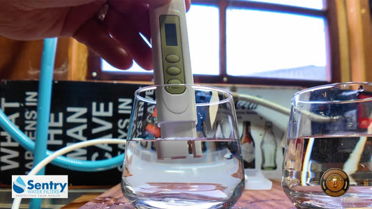 The Secret to Perfect Home Brew: Top Aussie Creators Test Sentry RO Systems