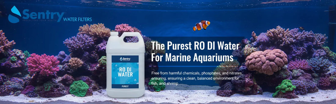 Sentry Water Filters demineralised RODI water for fish tanks with coral and fish aquarium