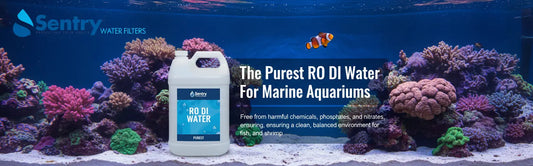 Sentry Water Filters demineralised RODI water for fish tanks with coral and fish aquarium