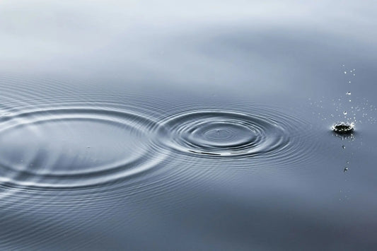 Calm body of water