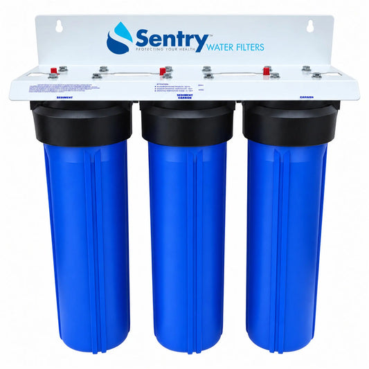 20"x4.5" Big Blue House + Tank Water Filter Spun + Silver Carbon Filters